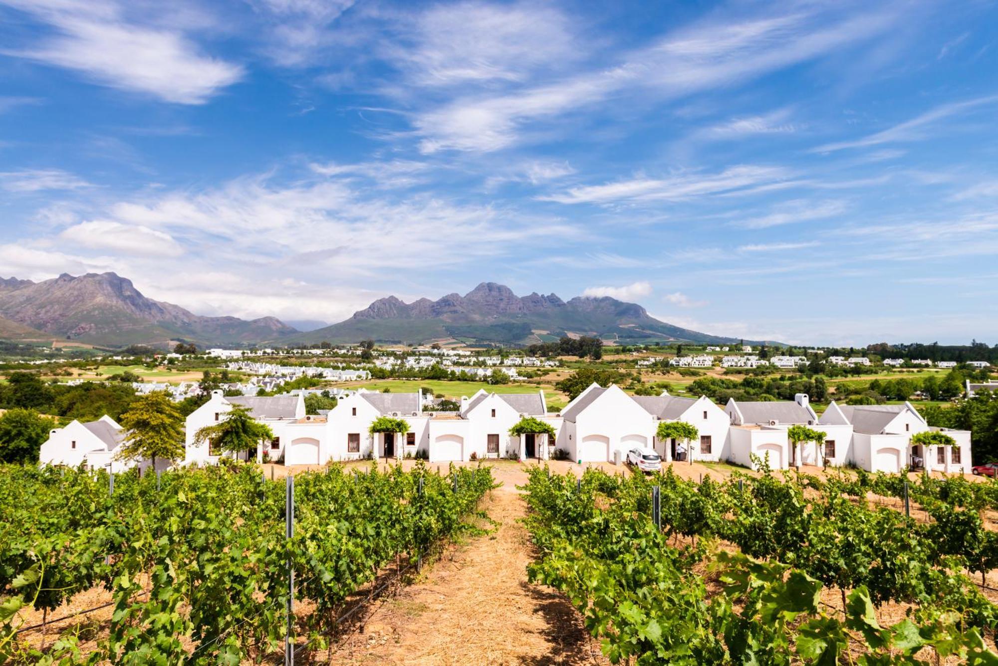 De Zalze Lodge Стелленбос Екстер'єр фото